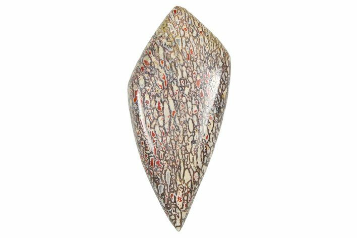 Polished Dinosaur Bone (Gembone) Cabochon - Colorado #370777